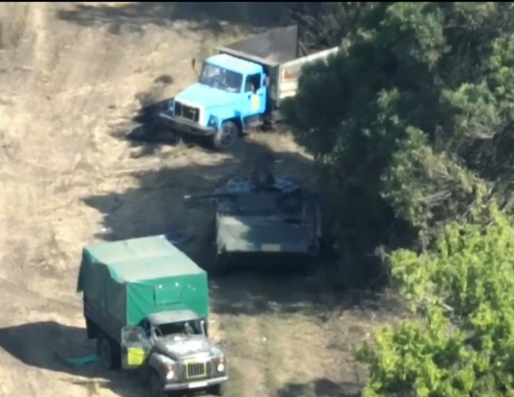 ��� ���������� �������� � �������� ��������