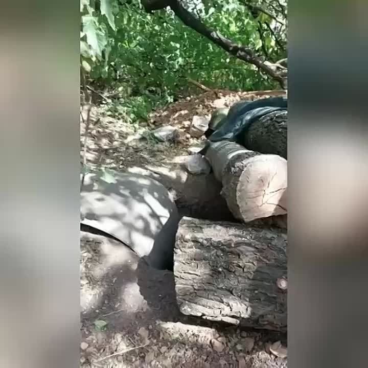 ������� �� �������, ��� ����� ��������� ���������� �������� �� ���������