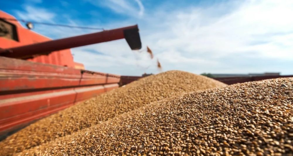 ������ ���������� ������� ������������ ����� ����� �������� �������