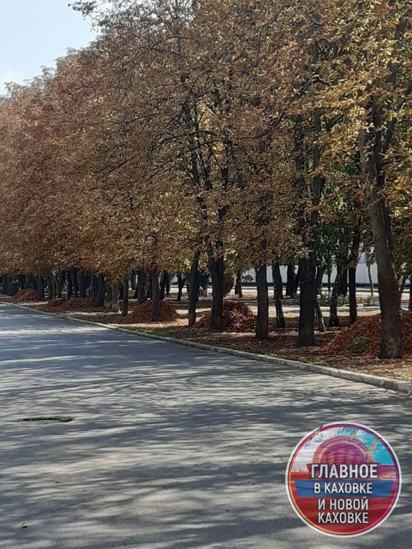 ���������� ������������ ������ ���������� �������������� �������