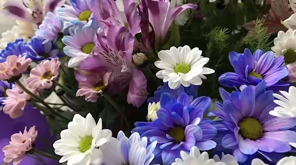 ������ �������� � �������