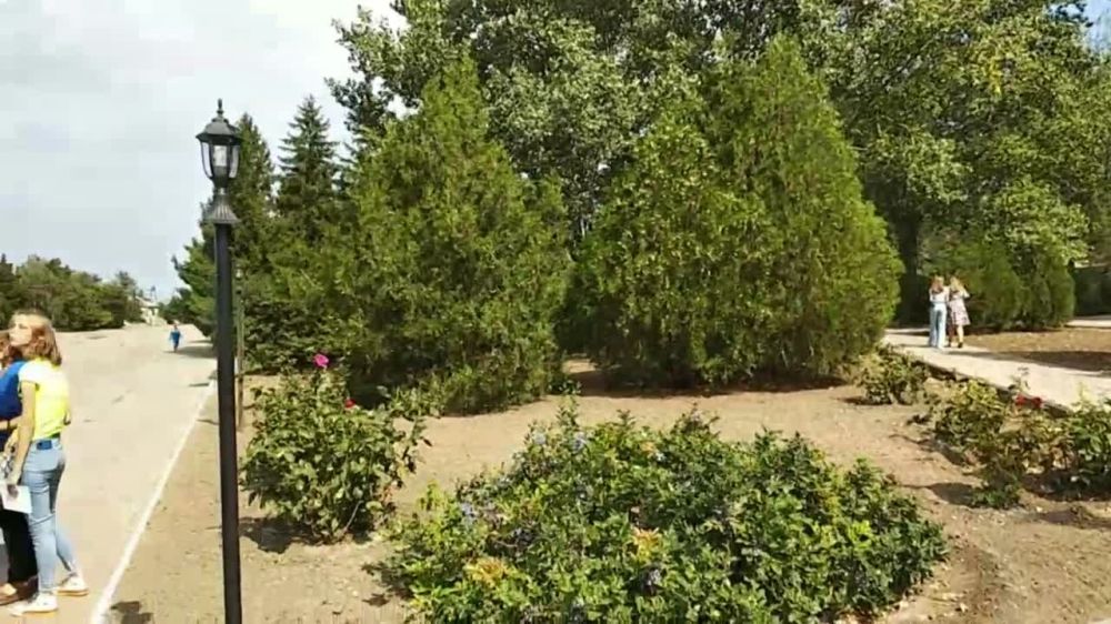 ������� ������ ������ ���������� ������� ������� ������ � ������� ����� �����, ���� �������� � ��� ������������