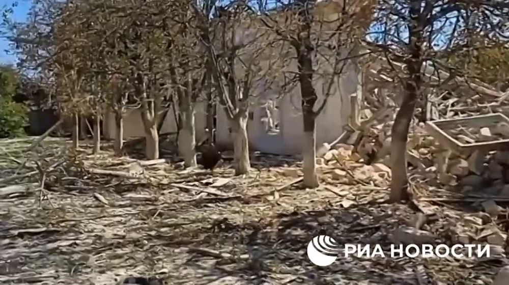 � ��������� � ���������� ������� ������� ���������� ���������� �������� ����, �������� ��� ������� ������