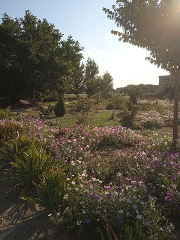 � ���������� ��������� ������ �� ������ ����� �� ���������� �����