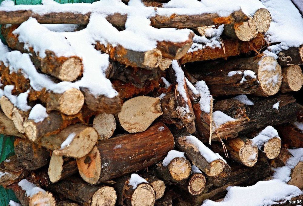 � ����� ������� ������� ��������� � ����