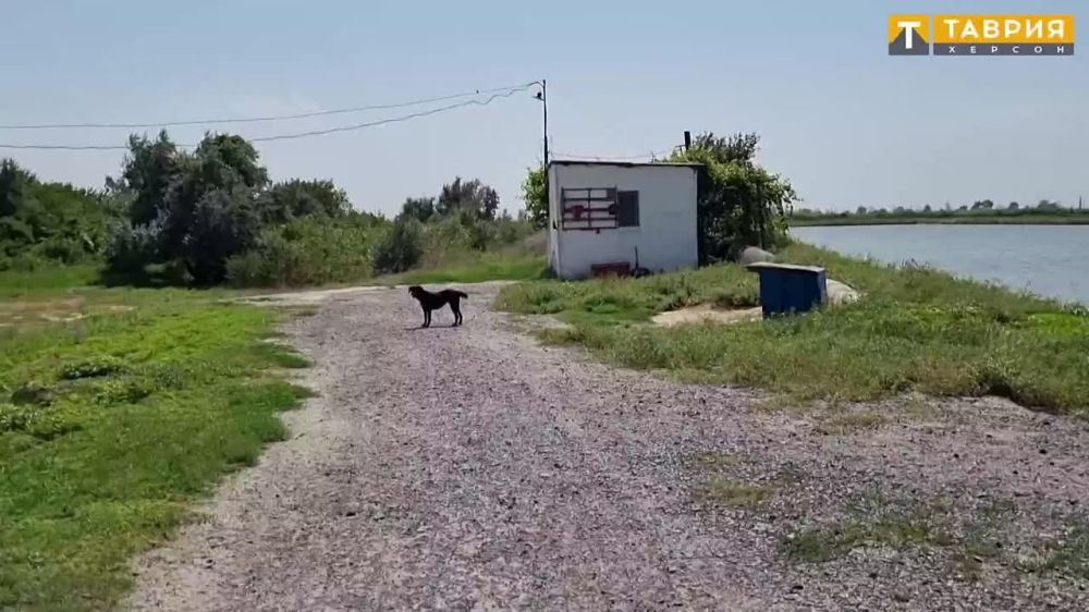 � ����������� ������ ���������� ���� ������ ��������� �����