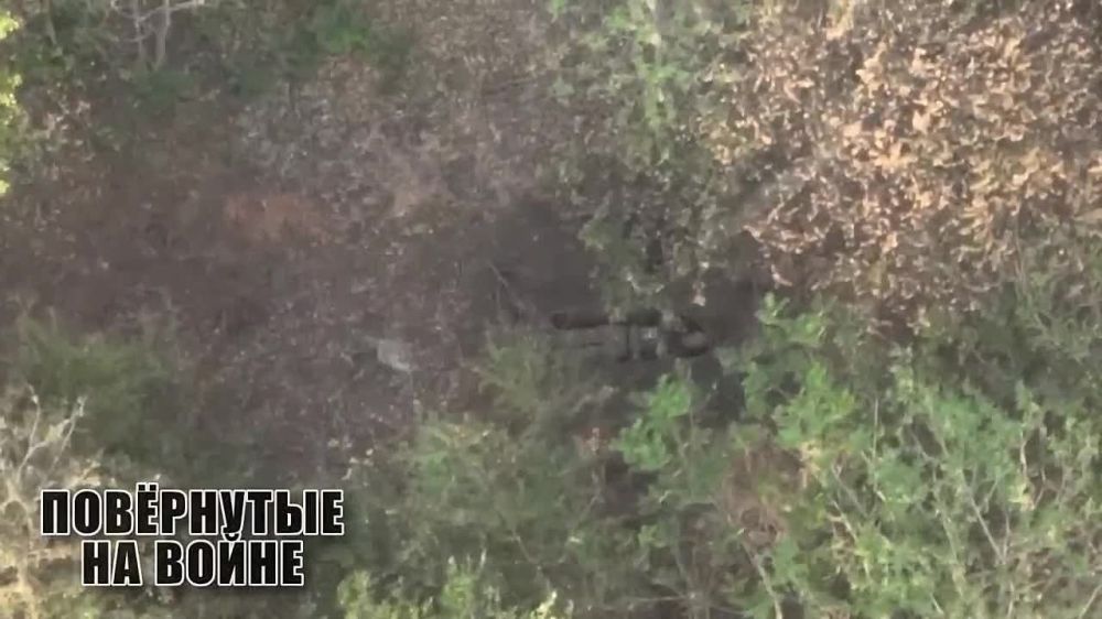 ������� ���������������� ��� ��������