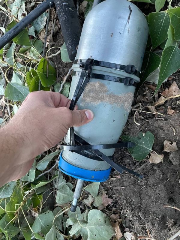 ���������� ����������� � ������ ������� ���� � ������ ����������� ���, ������ �� ������������, �������� ��� ������� � ������������� ����������