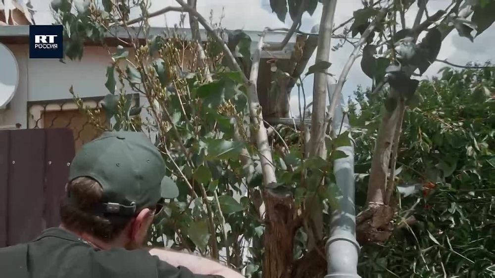 ������ ����� ������� � ������ �������� ������