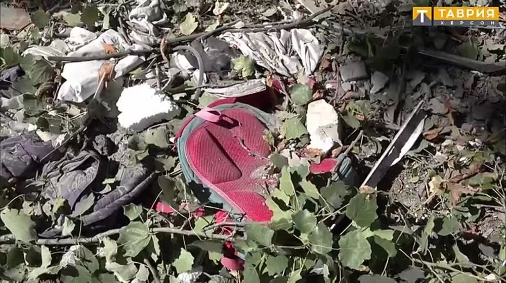 ��� ���������� ������� �������, 3 ������ ��������� � ����� ���