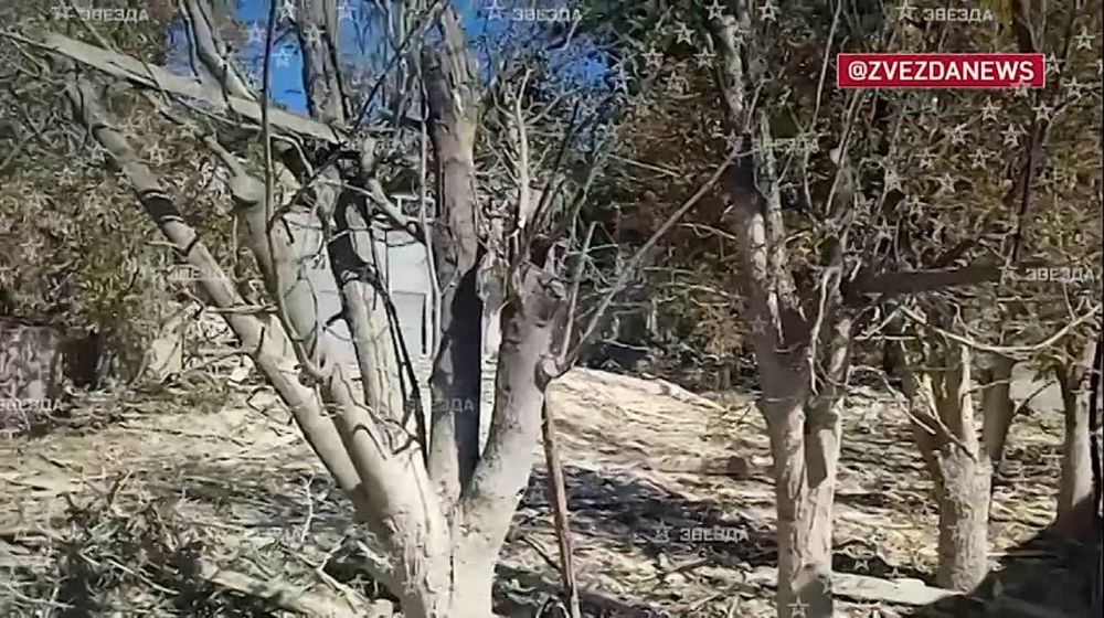 ���������� ������ ����� ���������� ��� ��������� ����������� ��������� ������� � ������ ������ ��������