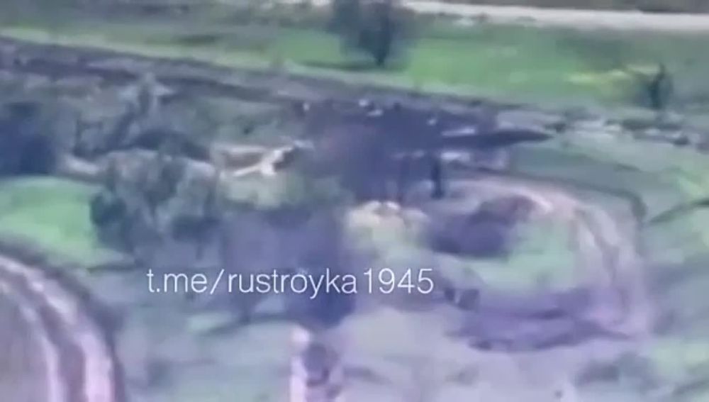 ���������� ������� �������� ���