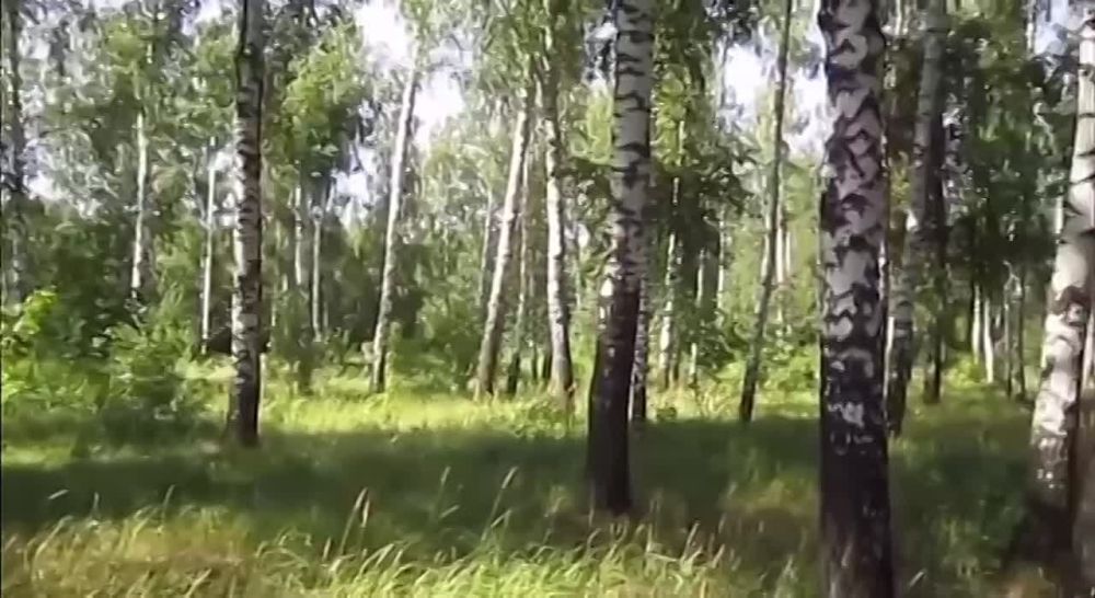 �� ����������!. ����� ������-��� ���� ���� � ����� ������!