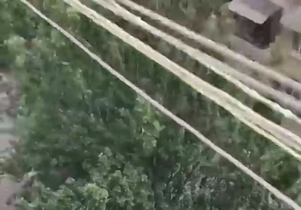 ���������� ������ ������� �������� ���� �� ������������ ��������� "���������� ���" � �������