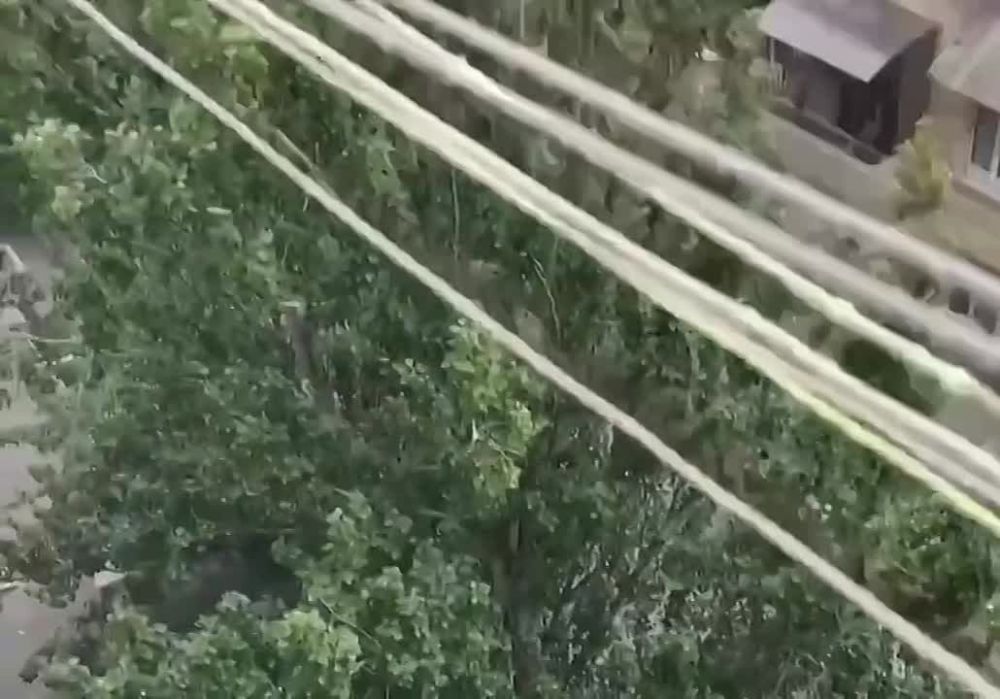 ������, ��. ������������ 25. ��������� "���������� ���"