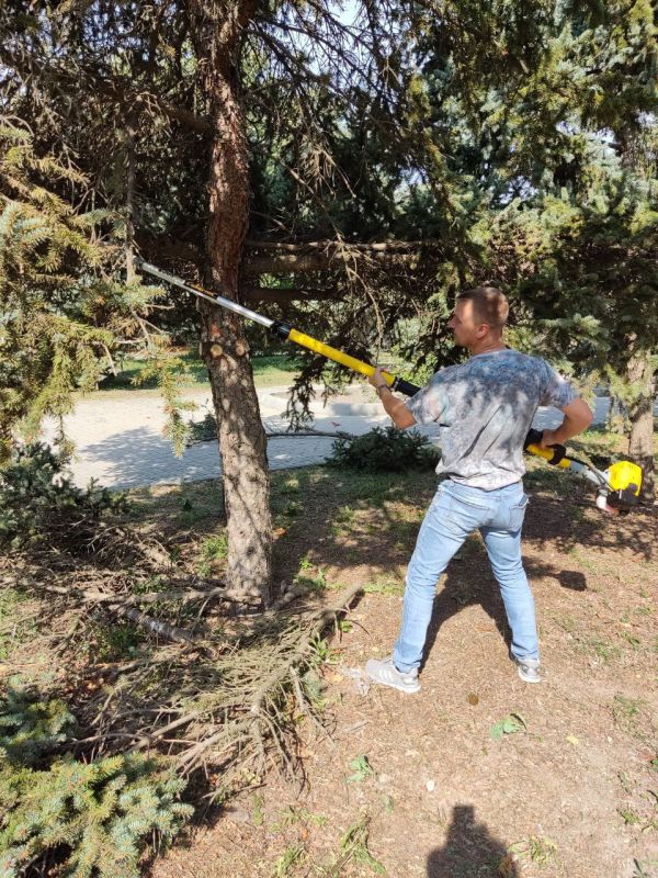 ���������� ��� �������� �������� ������������� ����, ��� ������ �������� ������� � ���������� ����������