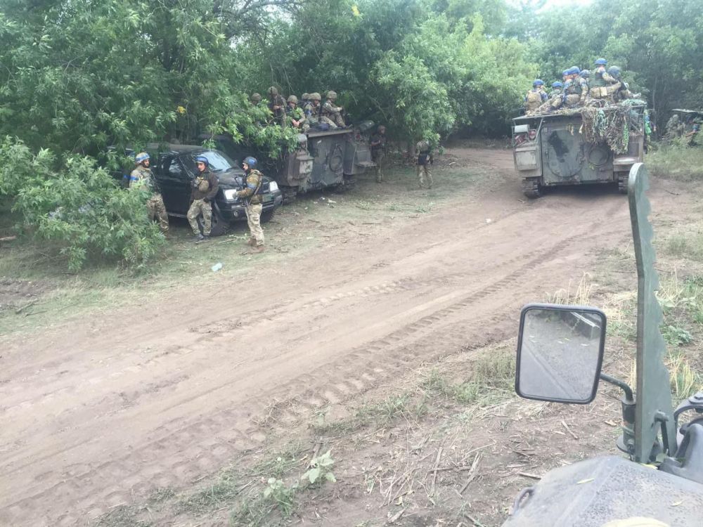 � ��� � ������������ �113 �� ������ ���������� �����������, ������� ����� ���������� ������������ ������������� � ��������������