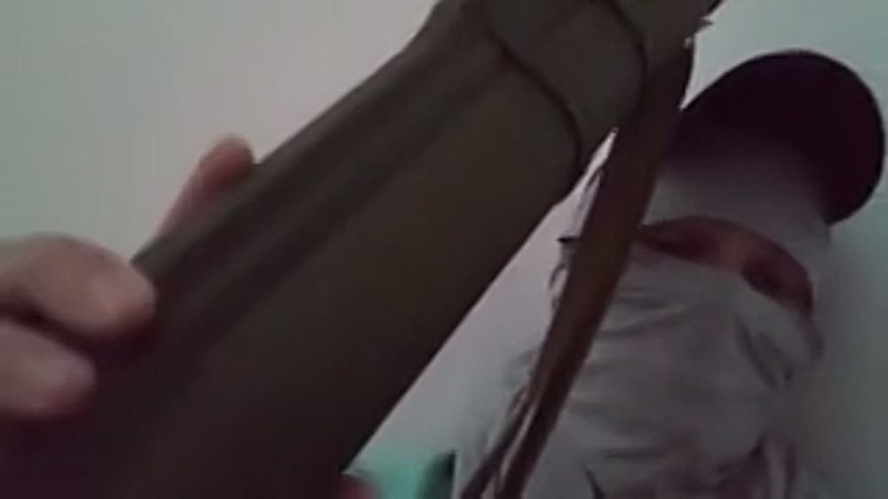 ������ �Z �������� ������ ����������