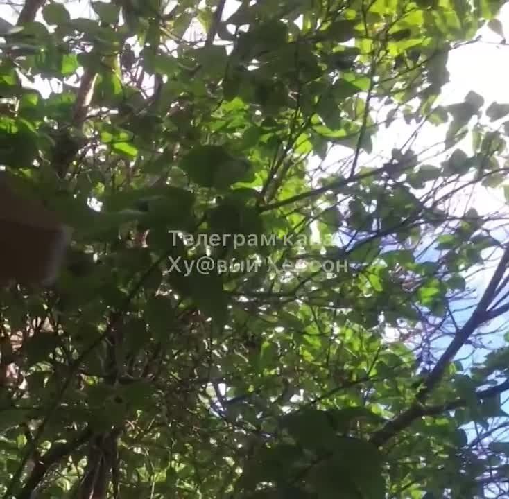 ���������� ���������� ����� ������������ ����� �������� �������