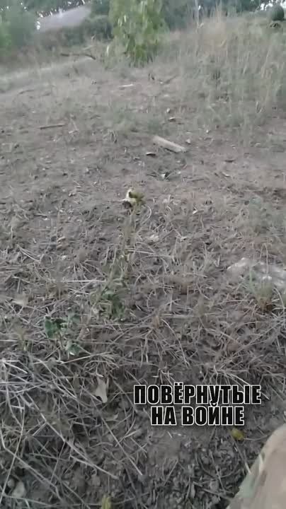 ������������ ��� �� ���������-������������ � ������������ �����������