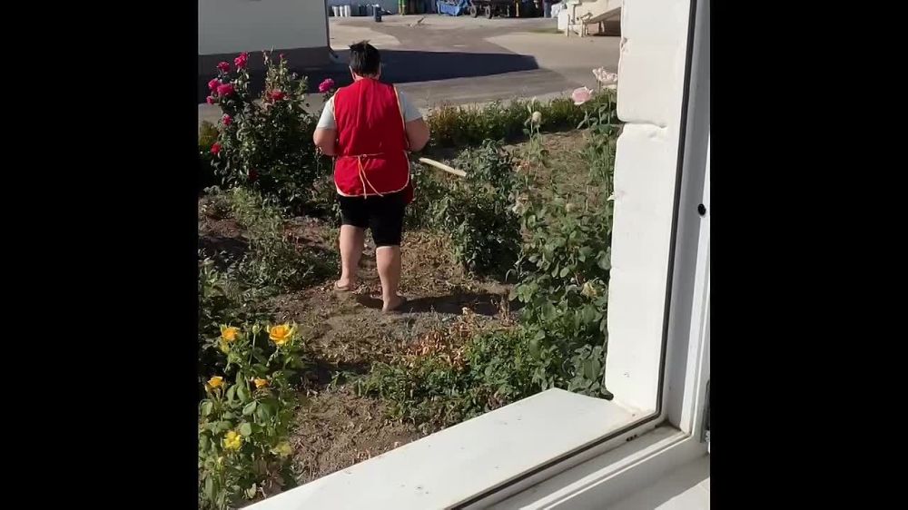 ����� �� ����������� ������� "��������" � ������ ����������� � ���������� �������, ������� ������ ���������� ���������������