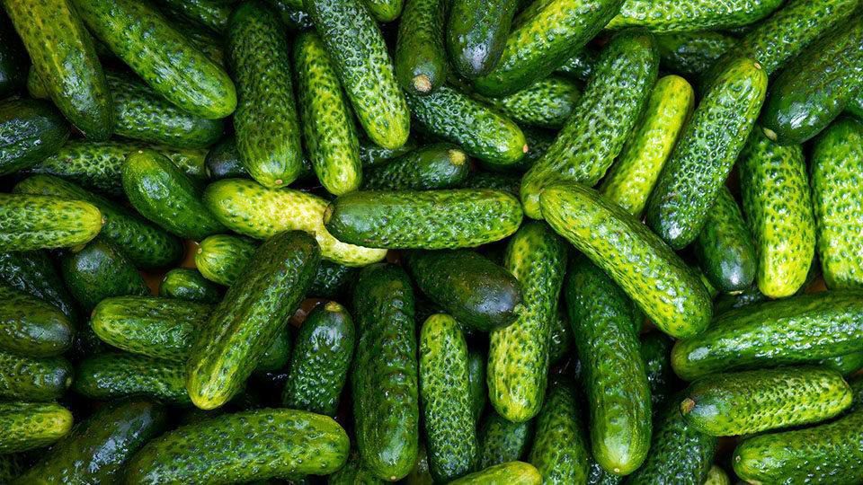 ������ �������.. ������ �������� ��� ����������� �������� ��������: �1, �2, �3, �5, �6, �, �������� �������, ������, �������, ������, ������, �����, ����