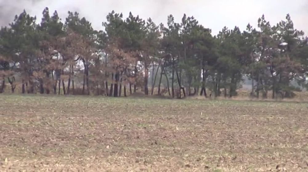 �� ��������� �����������, ������� ���� �������� �������� ����������� ��� ���. �������� � ������ ���������