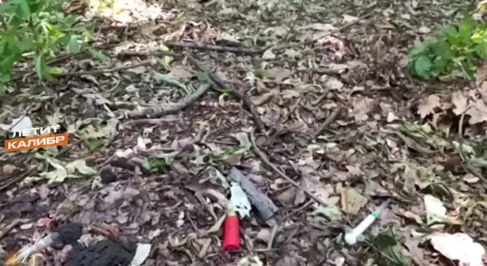 ����� ��������� � ���� ��� ������� ��� �� �����������-������������ �����������