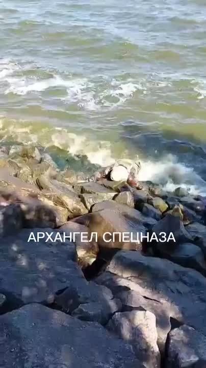 ������� ������ - ����� ������� - �������