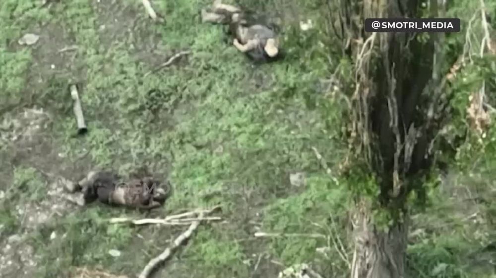 ��� ����� ������������ ������ � ���� "����������� �� ������" �� ����������� �����������-��������������