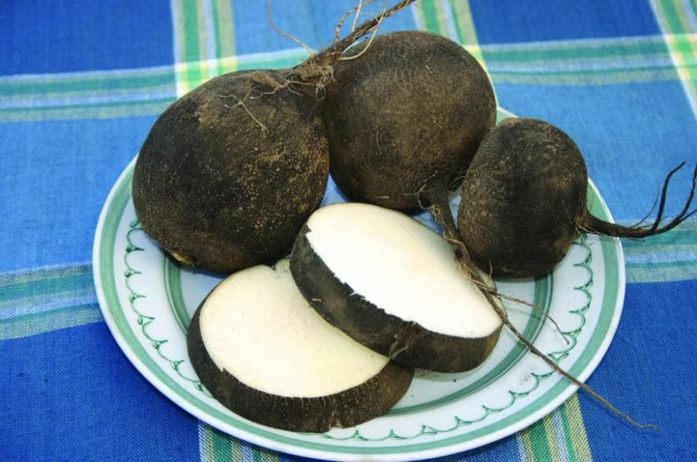 �������� �������� ������ ��� ��������� ��������: