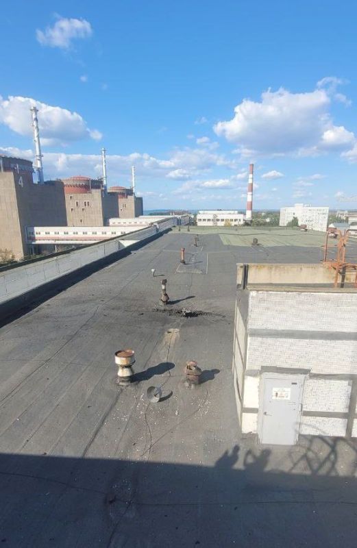 ������ ������ ������, �������� ���� ���������