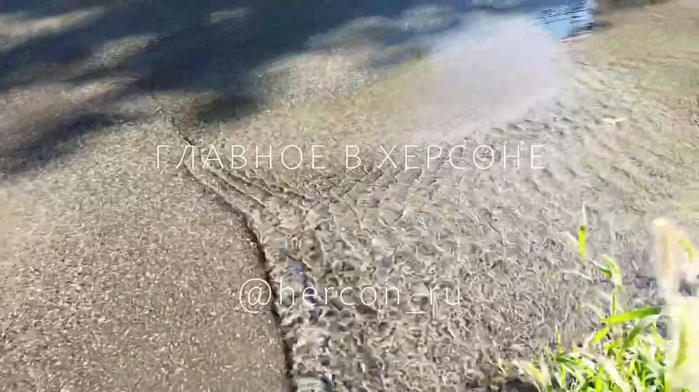 � ����������� ������ �������� ����������