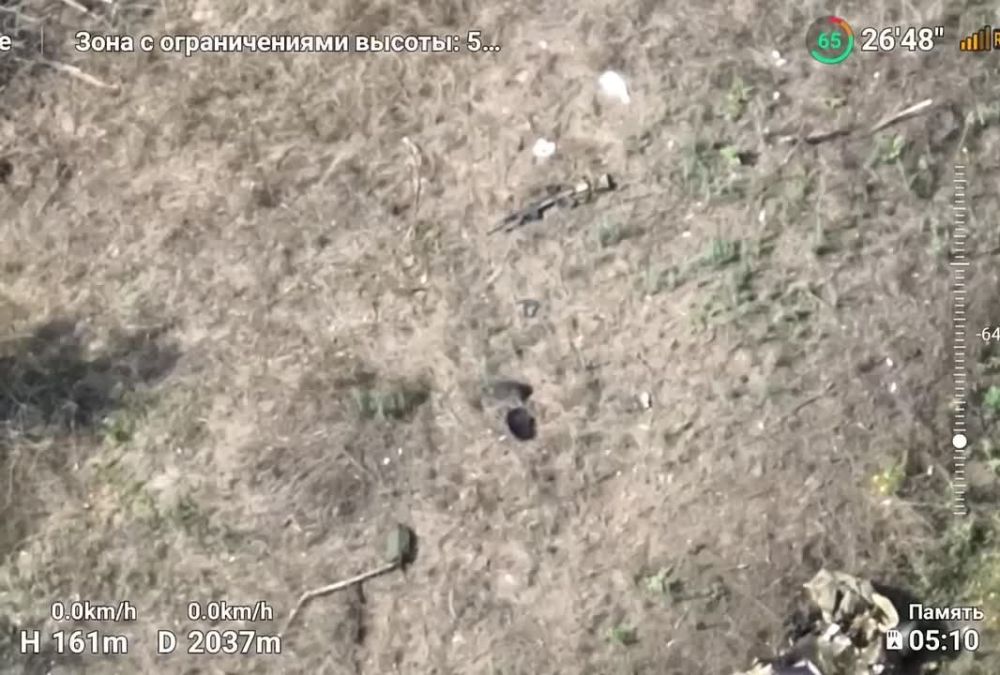 ����� ZOV �������� ��������� �� ���������� ����������� ���� �� ������ �����