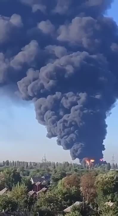 ���������� ������ ������� �������� ���� �� �������� ���� ��� ��������