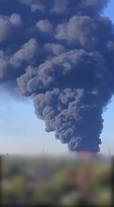 ������������ ����������� ������� �������, ������� �������������� ���������� ������ �� ����� �����������