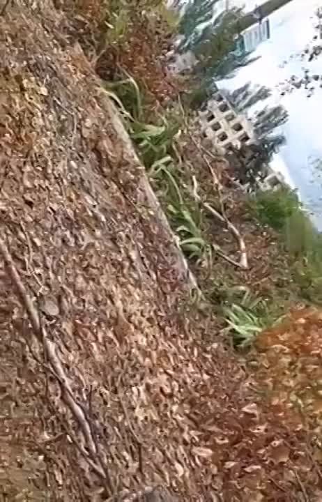 Один из эпизодов недавних боёв за Высокополье в Херсонской области