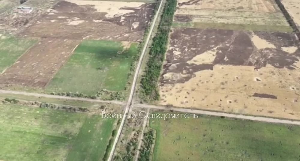 33-� ���������� ������� ������� �������������� ���� ���������� ����� � ���� �� ���������-������������ ������� ������