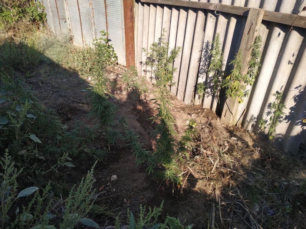 ����������� � ���������� ������������� ������ ������� ������� ��������� �������