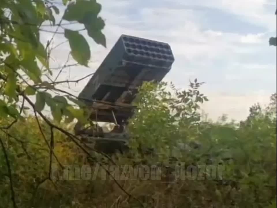 �� ������������ ����������� ����������� ZVO �������� �����������