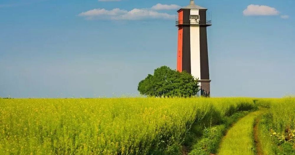 ���������� ���� � ������� ����������� �������� �������