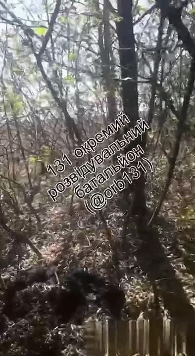 ������� 30-� ��������� �������� ������� �������� � ���������� ����� ���������� 100-������ �������� � �������� �� ������������