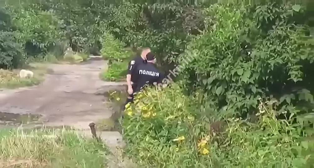 �������. ��������... �������� ���� �� ������������