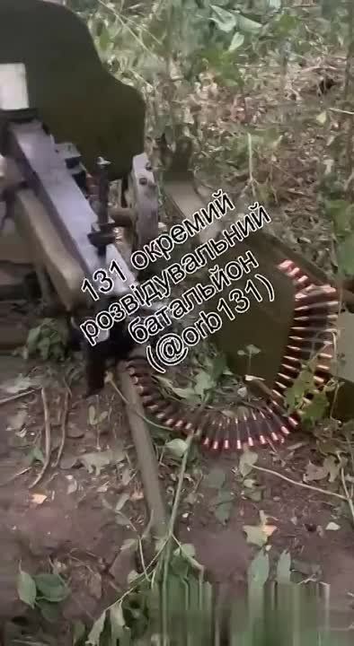 ������ �������: 131 ��������� �������� �������� ��� ��������� ��� ��������