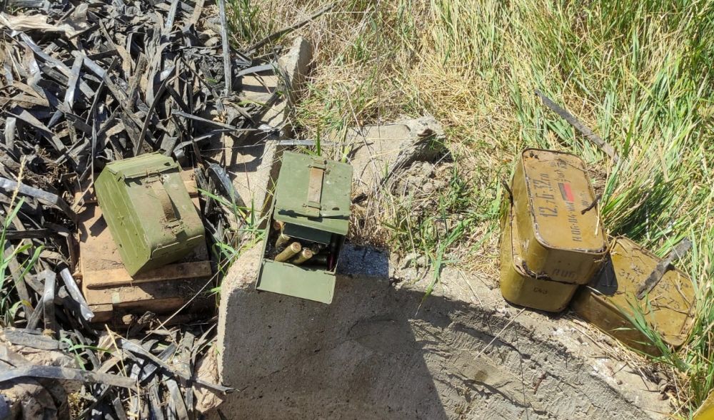 ���������� ���������� ��������� 137 ���������� ������������� � ����� 25 ������� � �������, � ��� ����� � ������������ ������������, � ���������� � ����������� ��������