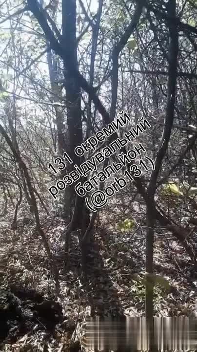 ����� �����: �������� ���-�� � ������������ �� ���������� �����������