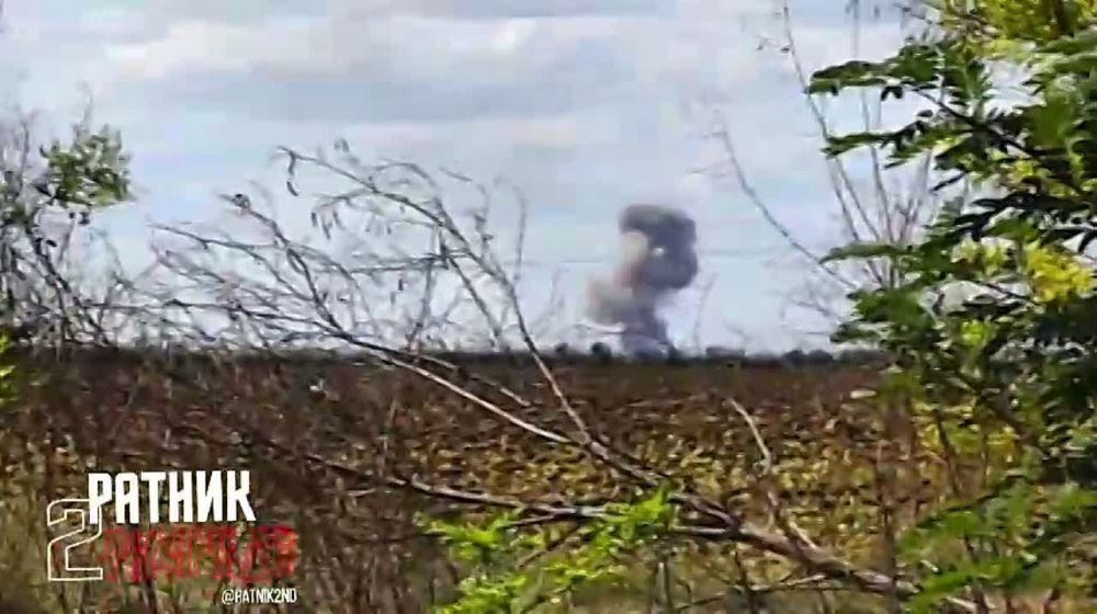 ����������� ������������� �� ���������� �����������