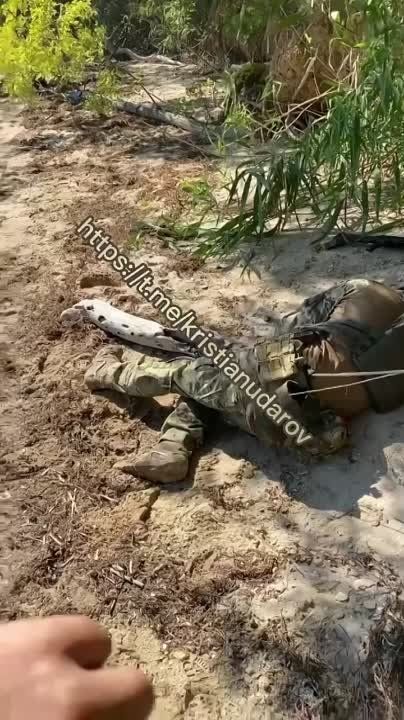 ����: �� �� ����� ������������� ����� � ������ ���������� �����������