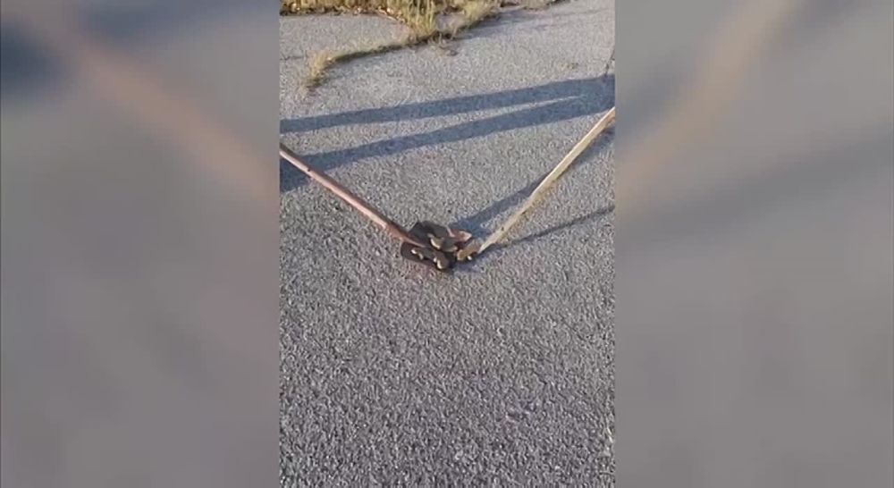 ������� ����� ��� ������ ��������, ������������� ��������, ������� ������ �� ����������, ���������� ������ ������