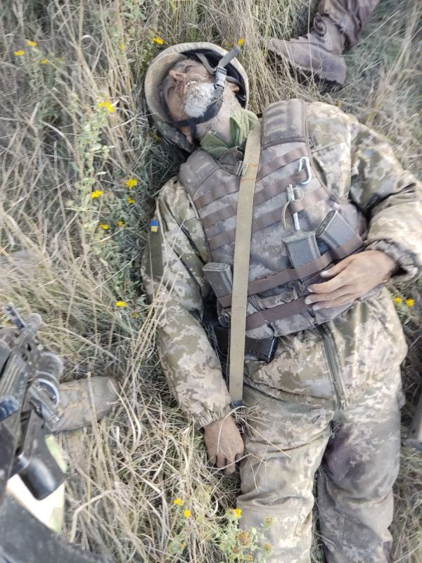 ����� �����: ������ �������� �� ���������� �����������